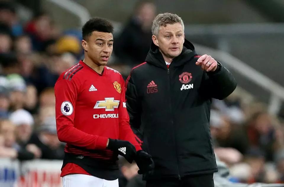 特职业联赛 特职业联赛